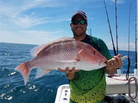 ponce inlet deep sea fishing.